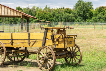 Fototapeta na wymiar old wooden yellow cart on a farm green field