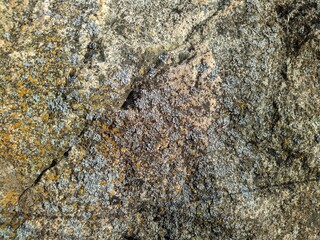 texture and background of strong stone in the daytime