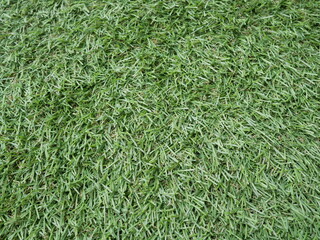 green artifical turf texture background.