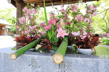 大分護国神社の手水舎に飾られた花