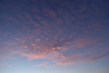 Pink clouds