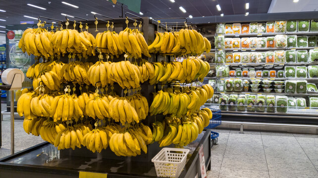 ripe bananas hanging on hooks at the fruit section
