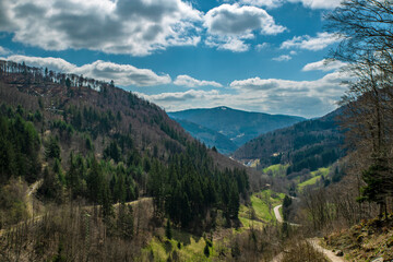 Fototapeta na wymiar The road leading to the mountains, Germany, Black forest