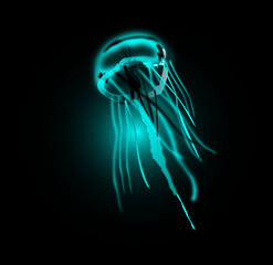 This is an image of jelly fish luminous vector drawing.