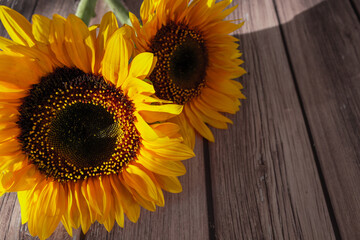 Girasoles sobre mesa de madera