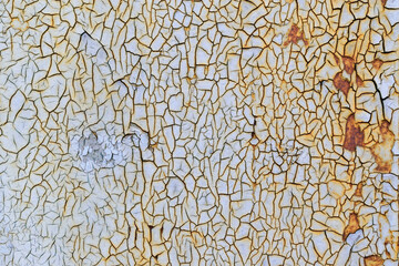 Old cracked paint on the wall for the backdrop. Color - Lavender, Hue Violet. Rust.