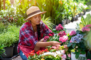 Young Asian woman caring for plants in a small garden . Holding a potted white hydrangea plant watering flower pots. Sitting on knees in the walkway between plants. Lifestyle joy happy freedom day.