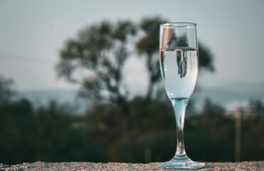 Each wine has its glass