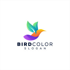 bird color gradient logo design