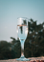 Each wine has its glass