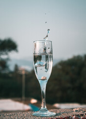 Each wine has its glass