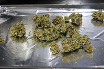 Closeup of a dried cannabis flower buds and leaves on a tray ready for decarboxylation