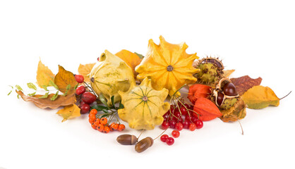 Autumn decoration arranged with dry leaves, pumpkins and more, isolated on white, wide format