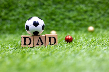 Soccer ball on grass for father's day