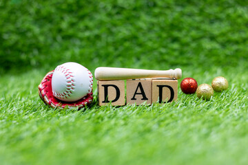baseball on grass  with word dad on father's day