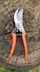 Open pruning pliers on top of a wood