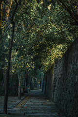 Naklejka premium Roads in the city of Indonesia. Empty road in Bandung pavement with modern nature theme