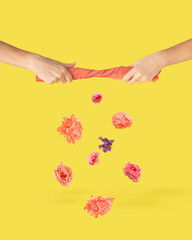 Pastel pink and orange flowers on a yellow background falling out from a orange cloth which squeeze beautiful young womans hands. Minimal optimistic, spring, blooming, Women's Day arrangement.