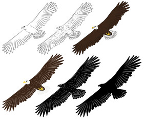 Set of Cartoon flying wild eagle in isolate on a white background. Vector illustration.
