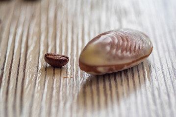Figures of Belgian chocolate on a light wooden background close-up.