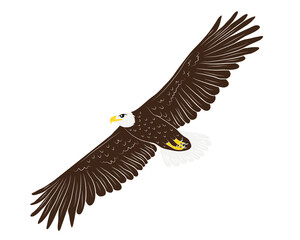 Cartoon flying wild eagle in isolate on a white background. Vector illustration.