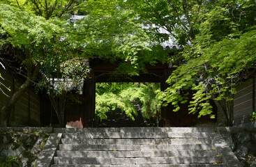 法輪寺　新緑の山門　京都市嵐山