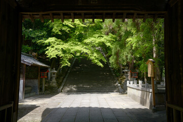 法輪寺　山門から新緑の参道を望む　京都市嵐山