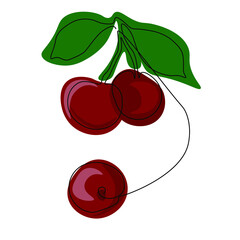 Vector juicy cherries drawn by one line. Great image for design of paintings in the kitchen, kitchen utensils and packaging.