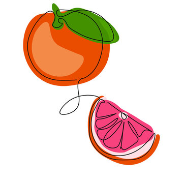 Juicy bright grapefruit. Vector image. A bright piece of summer in the interior of the kitchen, the design of paintings and the interior of the rooms.