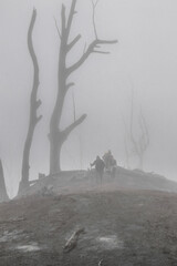 group of young hikers walking on the path with foggy and desolate landscape in dead forest with burned and dry trees in Turrialba volcano on a cloudy day