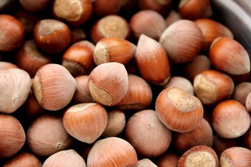 Hazelnuts close up view, fruits harvested in summer