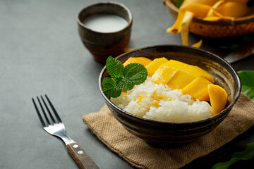 fresh ripe mango and sticky rice with coconut milk on dark background
