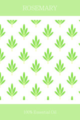 Essential oil banner or label. Rosemary essential oil. Scalable rosemary pattern. Cosmetics packaging design. Template on the theme of aromatherapy.