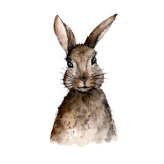 Hare, rabbit, animal watercolor drawing, baby animal, wild animal print for children party, baby shower. Illustration isolatad on white. © Larisa