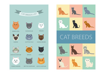 Group of Cute Cat Breeds List Cartoon Animal Illustration To Background or Wallpaper