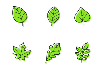 a set of six different green tree leaves. suitable for designing stories and websites