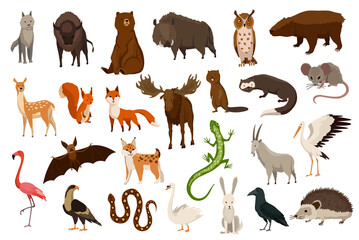 Animals of europe. Nature fauna collection. Geographical local fauna. Mammals living on continent. Vector illustration in kids style