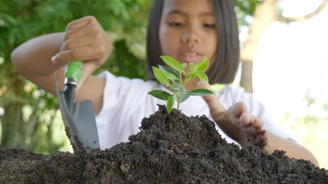Little girl use sholve plant young tree in fertile soil