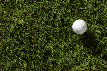 golf ball on green grass