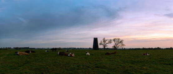 Black Mill with leafless treesat dawn in spring Beverley, UK.