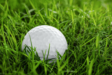 golf ball on green grass