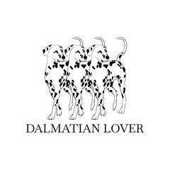 Dalmatian lover. Vector hand drawn   illustration of dalmatian isolated. Creative realistic artwork.  Template for card, poster, banner, print for t-shirt, pin, badge, patch.