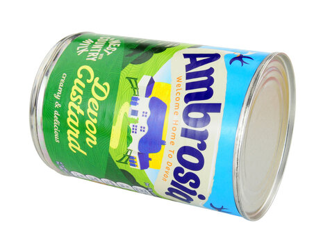 Ambrosia Devon Custard Dessert 400g Can