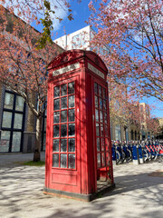 Obraz premium Red Phone Box with Spring Blossoms