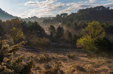 Landscape of forest and mountains with dawn mists in the natural park of Huetor Santillan, Granada.