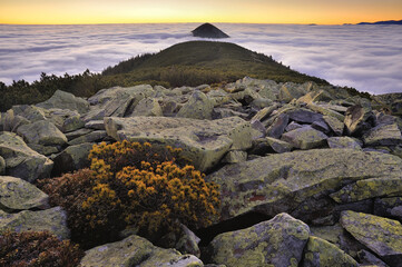 Beautiful foggy morning in the mountains. Gorgeous view at the summit above the skies.