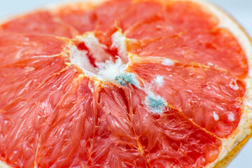 Moldy orange fruit. Rotten grapefruit. Bad conditions of preservation. Close up, Spoiled  food. Fungus illness.