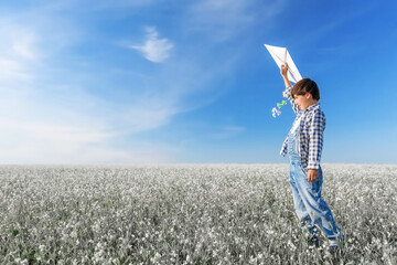 Young boy in the field with a kite