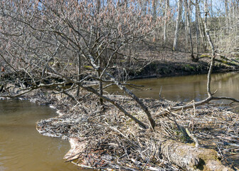 a yellow waterproof bag in the foreground on a paddle board, in the background a view of the banks of a small wild river in the spring