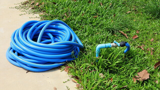 Roll the blue hose on the side of the faucet. Plastic hose for watering garden plants on cement and lawn background with copy space. Selective focus